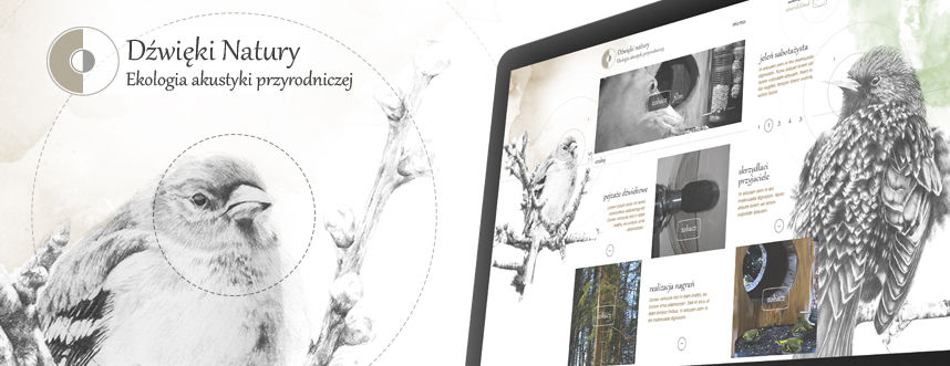 Strona www, projekt graficzny Dźwięki natury miłośnicy dźwięków ptaków